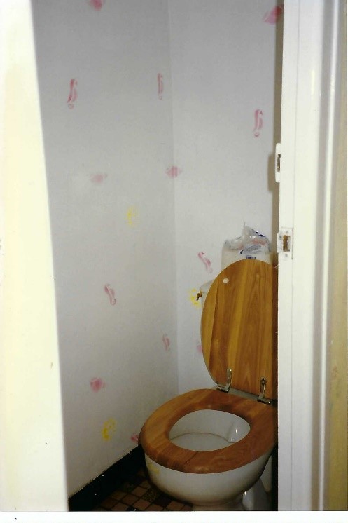pic2 toilet
