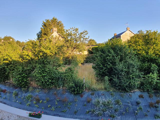 bank planted