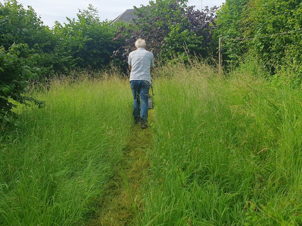 rick cutting grass