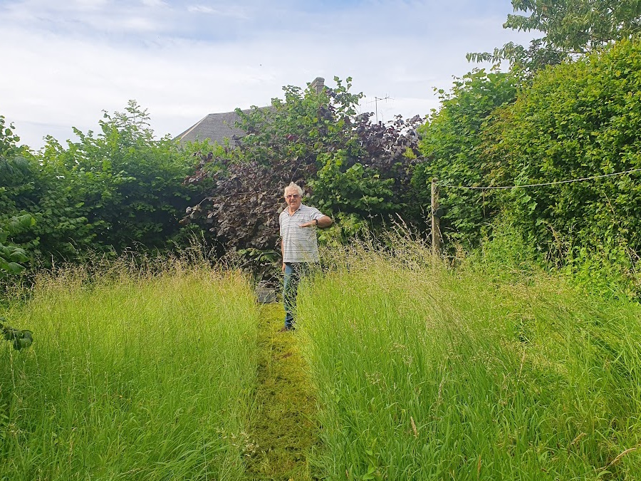 rick in long grass
