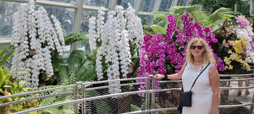 orchids