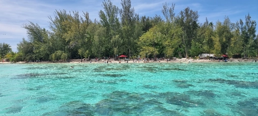 moorea3