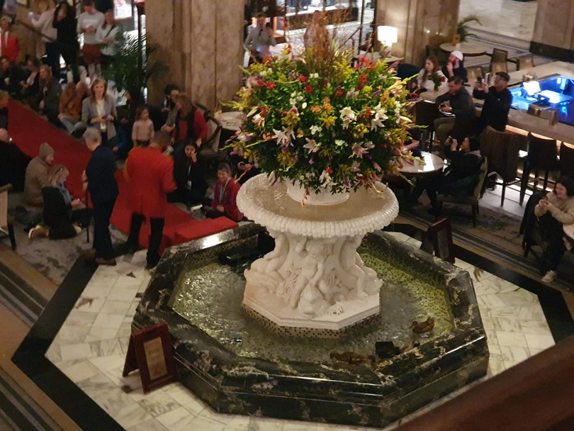 peabody ducks