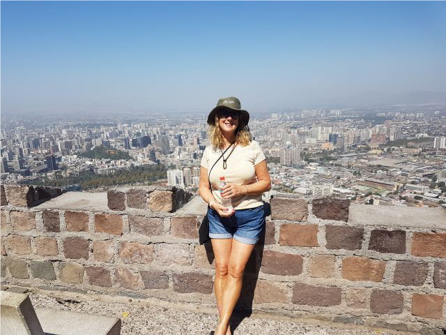 santiagosueview